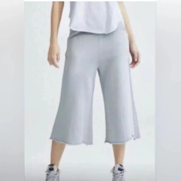 Frank & Eileen Lab Gaucho Pants Gray Size Extra Small - Picture 1 of 8